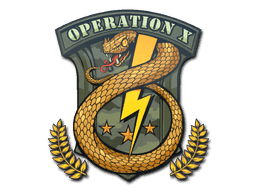 Badge of Service CS2 Sticker