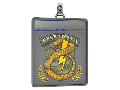 Badge of Service CS2 Sticker