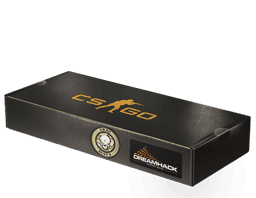 Dust II CS2 Souvenir Package