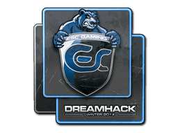 ESC Gaming CS2 Sticker
