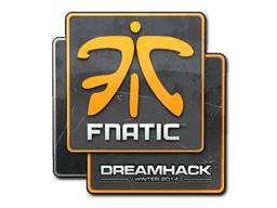 Fnatic CS2 Sticker