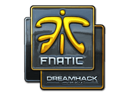 Fnatic (Foil) CS2 Sticker
