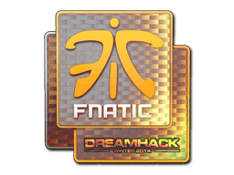 Fnatic (Holo) CS2 Sticker