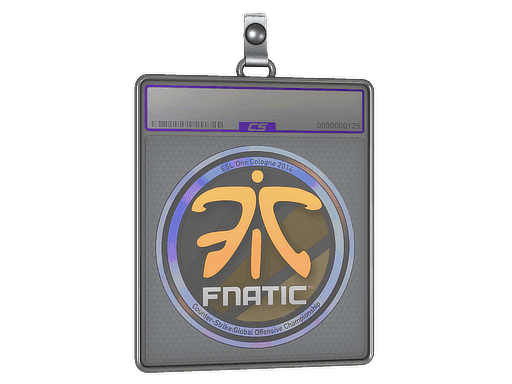 Fnatic (Holo) CS2 Sticker