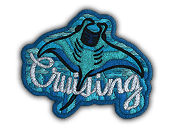 Cruising Ray CS2 Patch