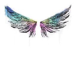 Wings