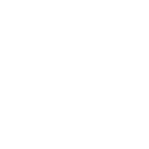 Joshua Marzano's Inventory