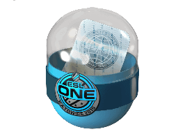 ESL One Katowice 2015 Challengers (Holo-Foil) Skins