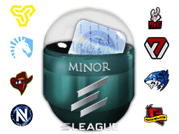 Boston 2018 Minor Challengers with Flash Gaming (Holo-Foil) Skins