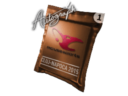 Autograph Capsule | mousesports | Cluj-Napoca 2015 Skins