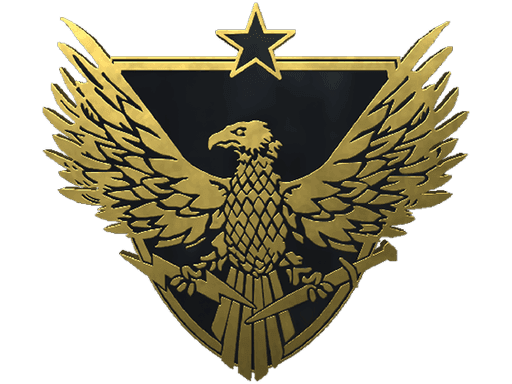 Brigadier General Pin CS2 Collectible