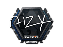 aizy CS2 Sticker