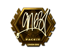 ANGE1 (Gold) CS2 Sticker