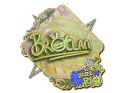 Brollan (Holo) CS2 Sticker