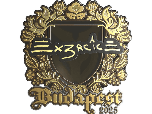 Ex3rcice (Gold) CS2 Sticker