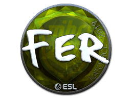 fer (Foil) CS2 Sticker