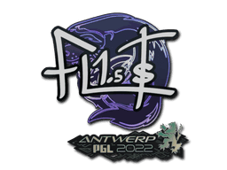 FL1T CS2 Sticker