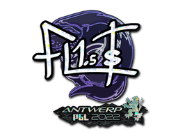 FL1T (Glitter) CS2 Sticker