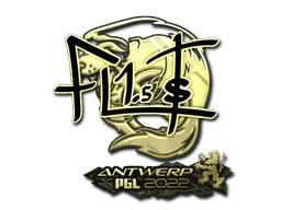 FL1T (Gold) CS2 Sticker