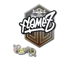 FlameZ CS2 Sticker