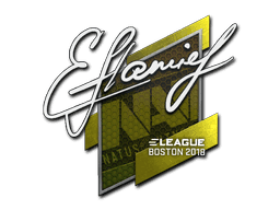 flamie CS2 Sticker