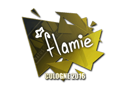 flamie CS2 Sticker
