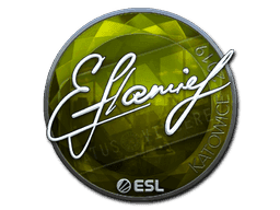 flamie (Foil) CS2 Sticker