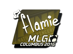 flamie CS2 Sticker