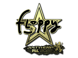 floppy (Gold) CS2 Sticker