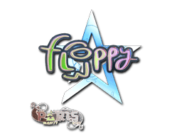floppy (Holo) CS2 Sticker