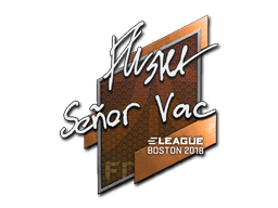 flusha CS2 Sticker