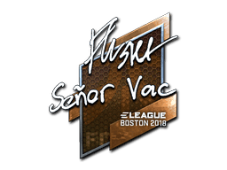 flusha (Foil) CS2 Sticker