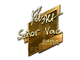 flusha (Gold) CS2 Sticker