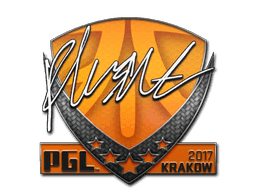 flusha CS2 Sticker