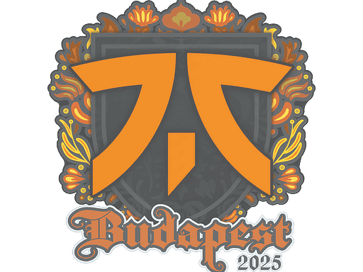 fnatic CS2 Sticker