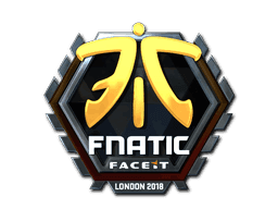 Fnatic (Foil) CS2 Sticker