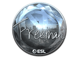 Freeman (Foil) CS2 Sticker