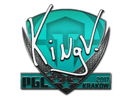 kNgV- CS2 Sticker