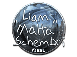 malta (Foil) CS2 Sticker