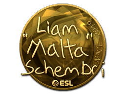 malta (Gold) CS2 Sticker