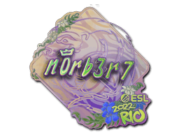n0rb3r7 (Holo) CS2 Sticker