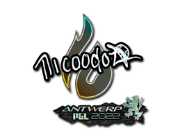 nicoodoz (Glitter) CS2 Sticker