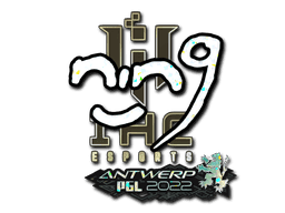 nin9 (Glitter) CS2 Sticker