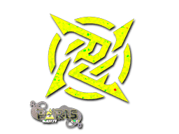 Ninjas in Pyjamas (Glitter) CS2 Sticker