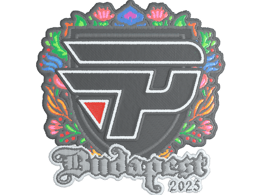 paiN Gaming (Embroidered) CS2 Sticker