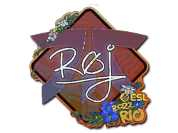 roeJ (Glitter) CS2 Sticker