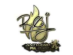roeJ (Gold) CS2 Sticker