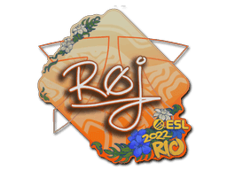 roeJ CS2 Sticker