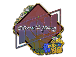 sdy (Glitter) CS2 Sticker