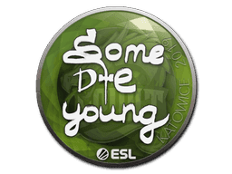 sdy CS2 Sticker
